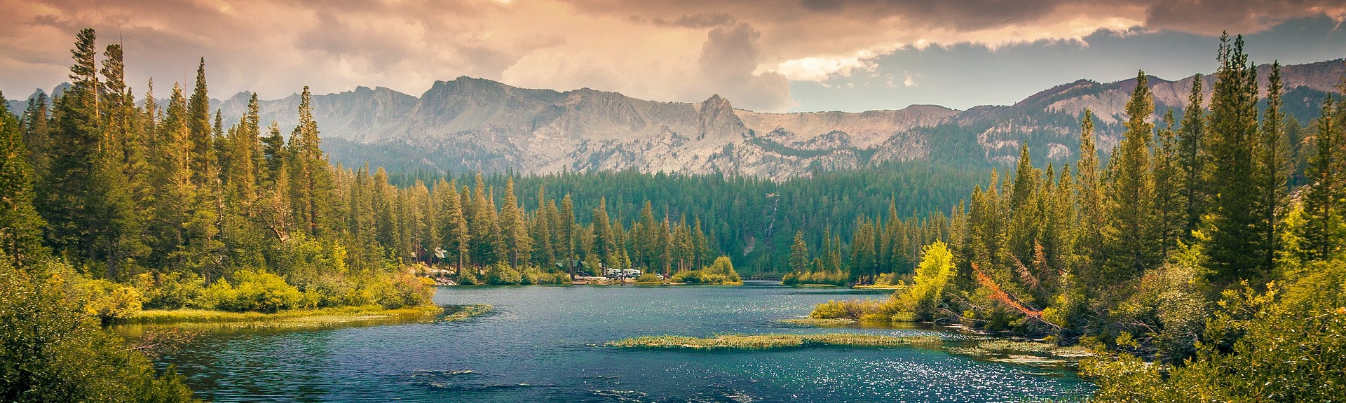 Nicholas Weatherburn